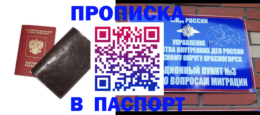 миграционный учет в Палласовке